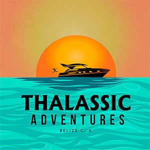 Licensed Tour Operator